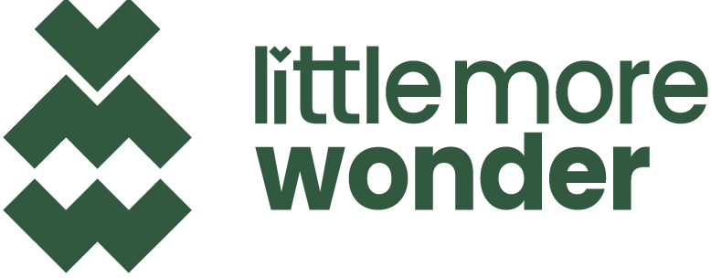 Little More Wonder